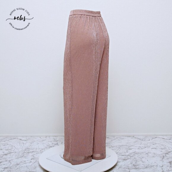 NWOT Skies Are Blue by Anthropologie Metallic Mesh High Rise Pants - Picture 5 of 11